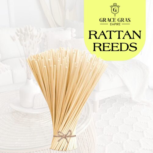 20cm Rattan Reeds/Sticks